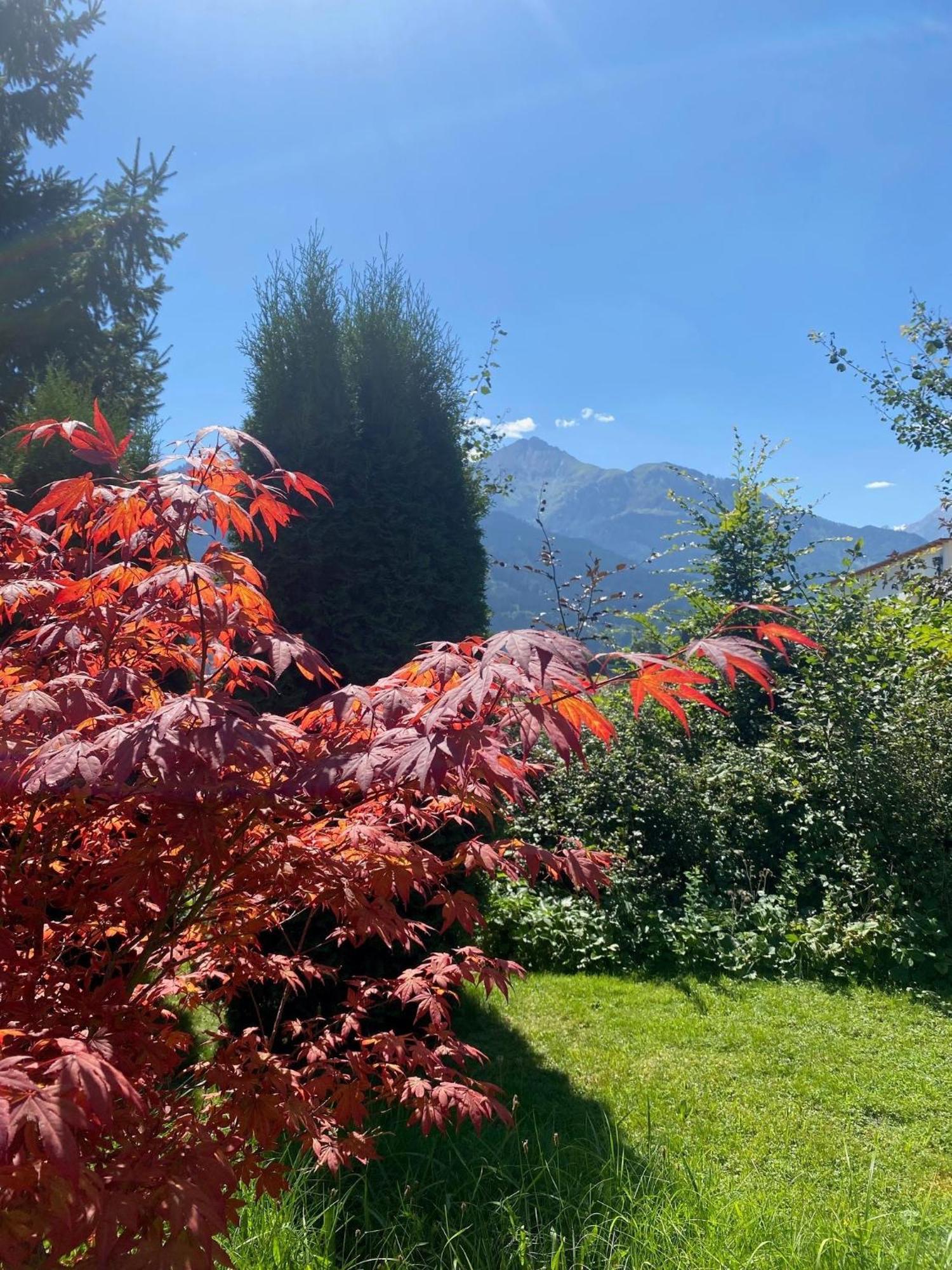 Chalet Panoramablick Zell Am Seeヴィラ エクステリア 写真